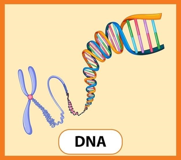 dna structure worksheet answer key pdf